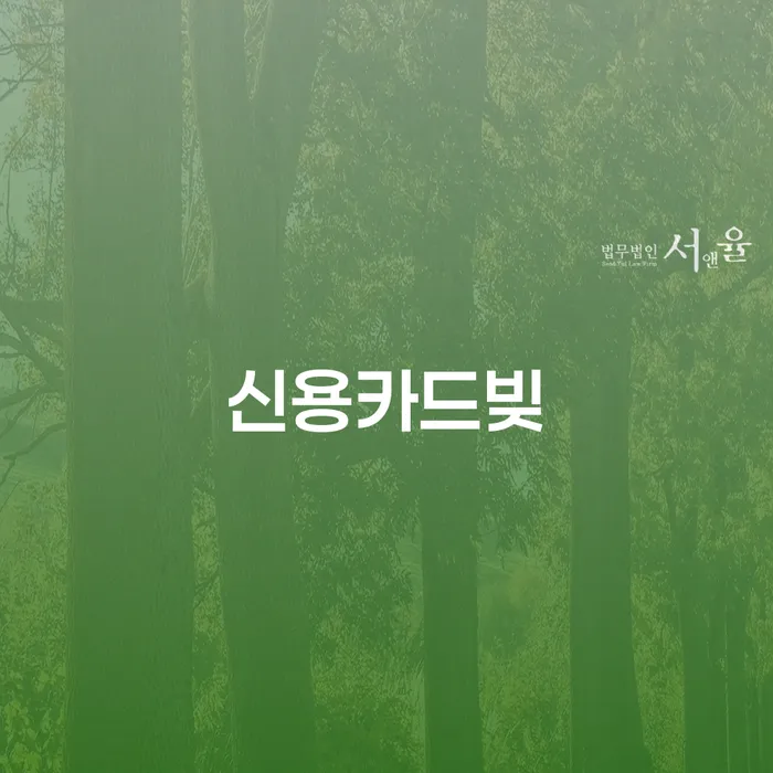 카드론연체 개인회생으로 방법 체크리스트