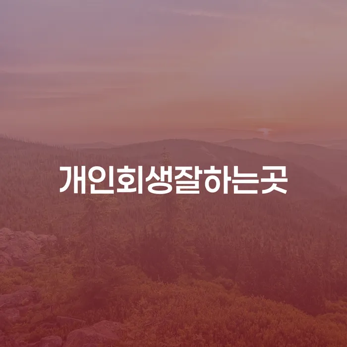 빚 개인회생으로 현명하게 알고신청하기