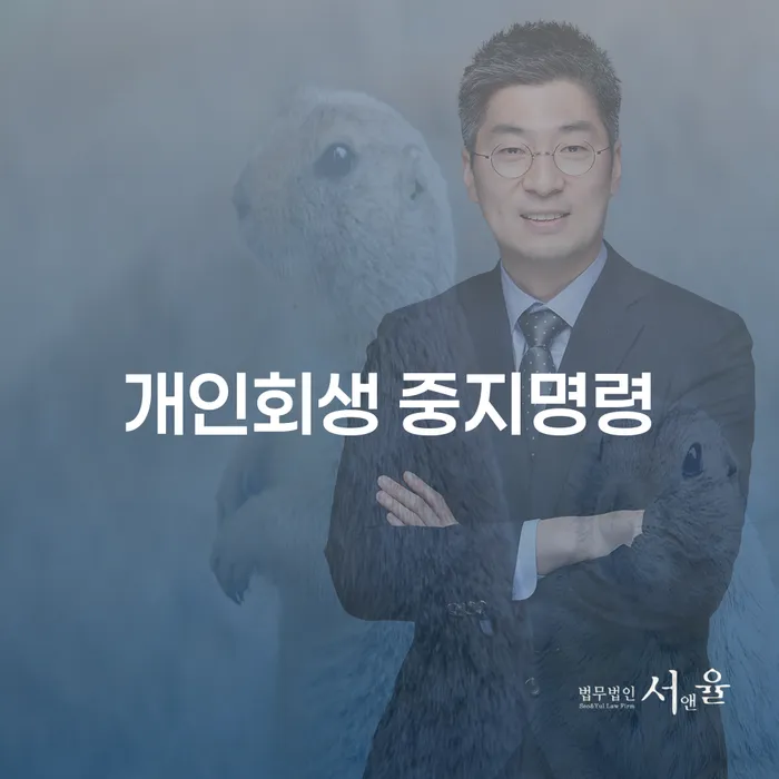 과대출자추가대출 연체 시 채무조정제도을 이용하여 도움이 되는