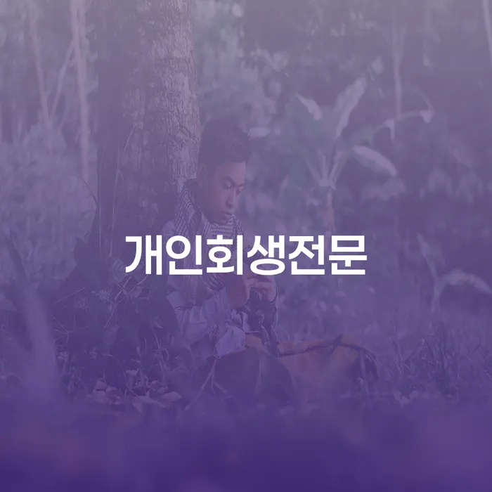 파산절차 개인회생 제도 어떻게