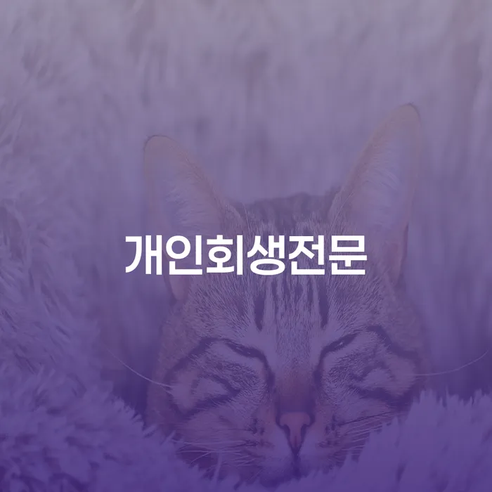 개인회생 미납 폐지 채무 효과적인 해결방법 궁금하다면