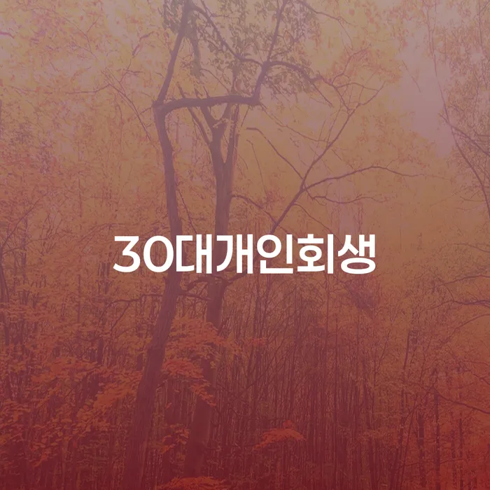 울산 부산개인회생전문 신용회복 실제사례