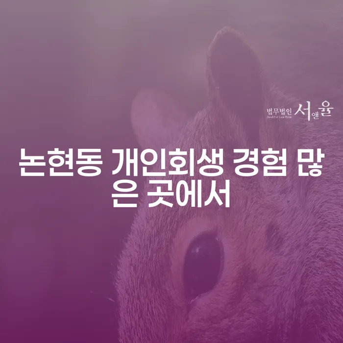 논현동 개인회생 경험 많은 곳에서