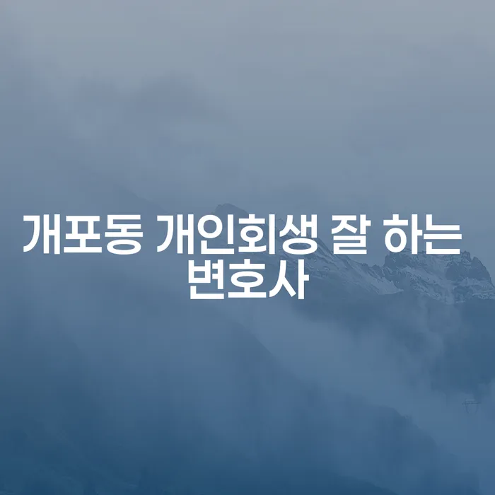 개포동 개인회생 잘 하는 변호사