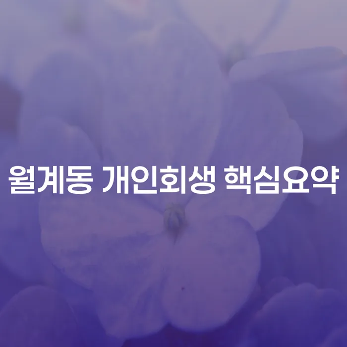 월계동 개인회생 핵심요약