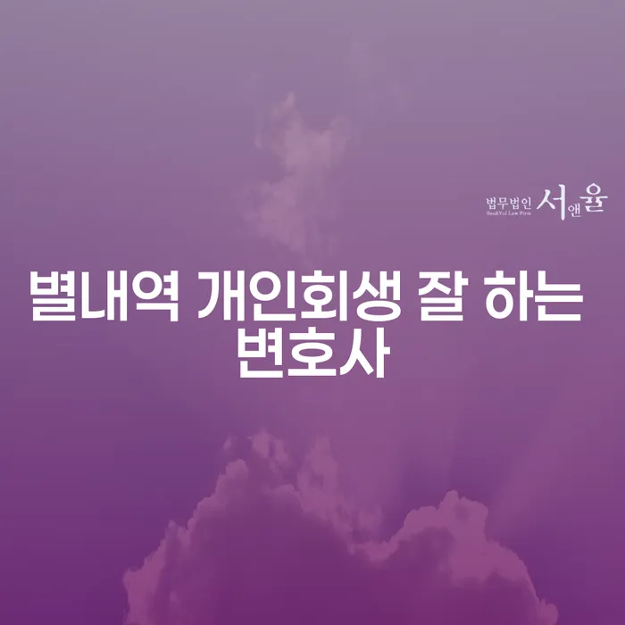 별내역 개인회생 잘 하는 변호사