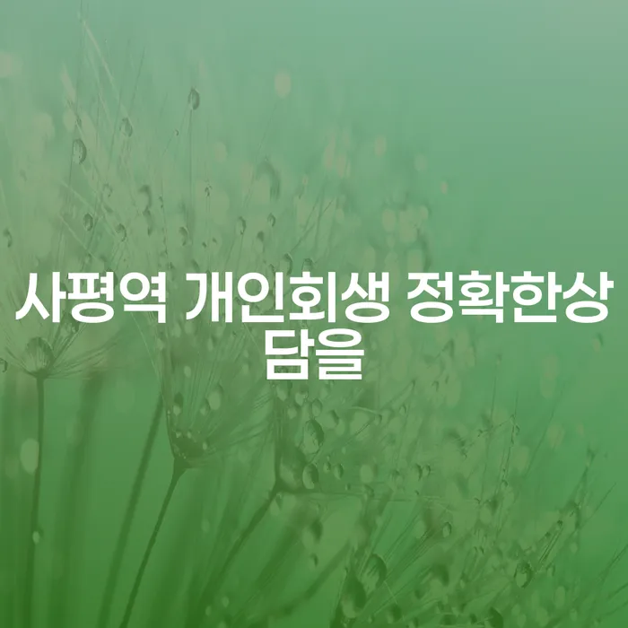 사평역 개인회생 정확한상담을