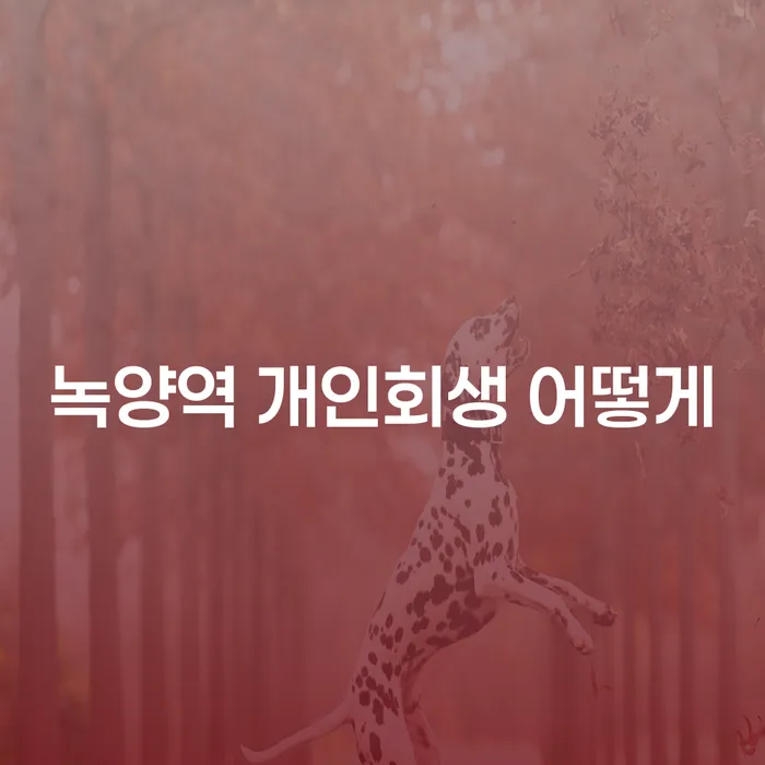 녹양역 개인회생 어떻게