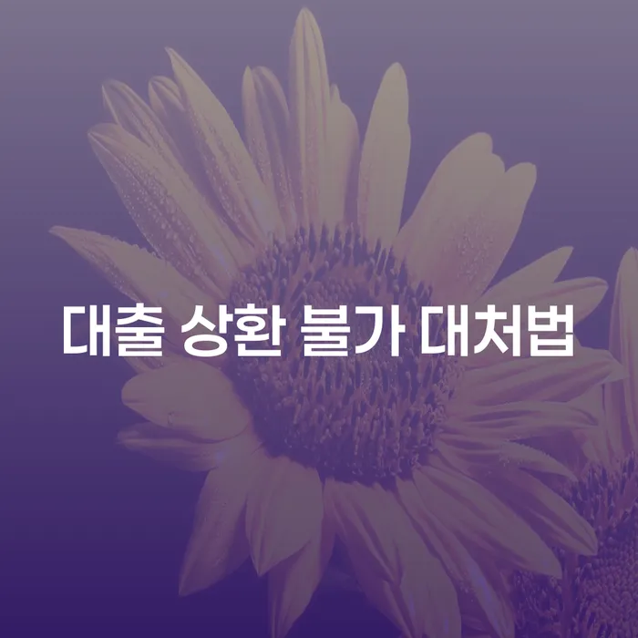 대출 상환 불가 상황, 어떻게 대처해야 할까요?