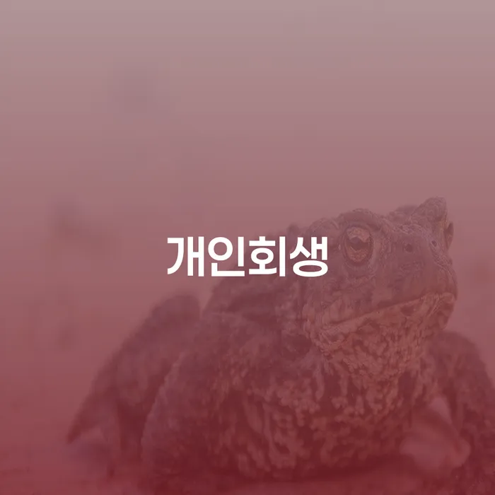 신당동 개인회생 채무 해결의 시작점