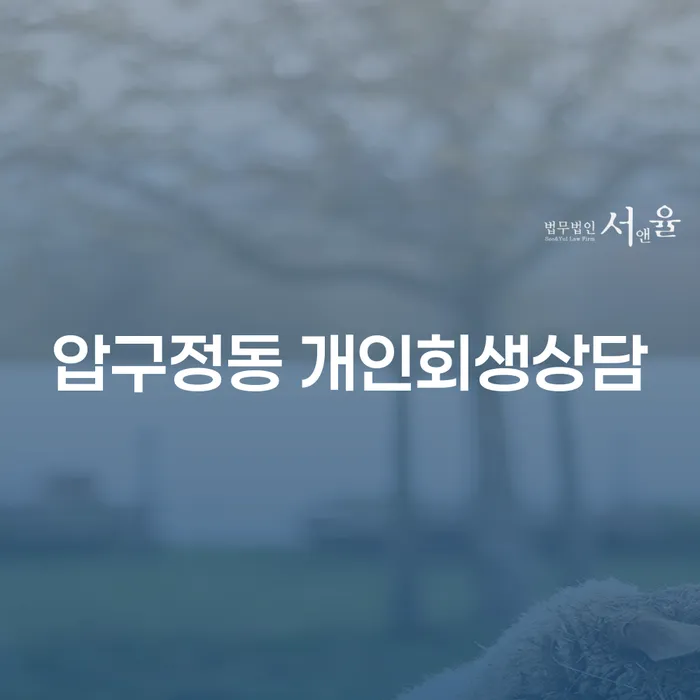 압구정동 개인회생상담: 채무 문제 해결의 첫 걸음?