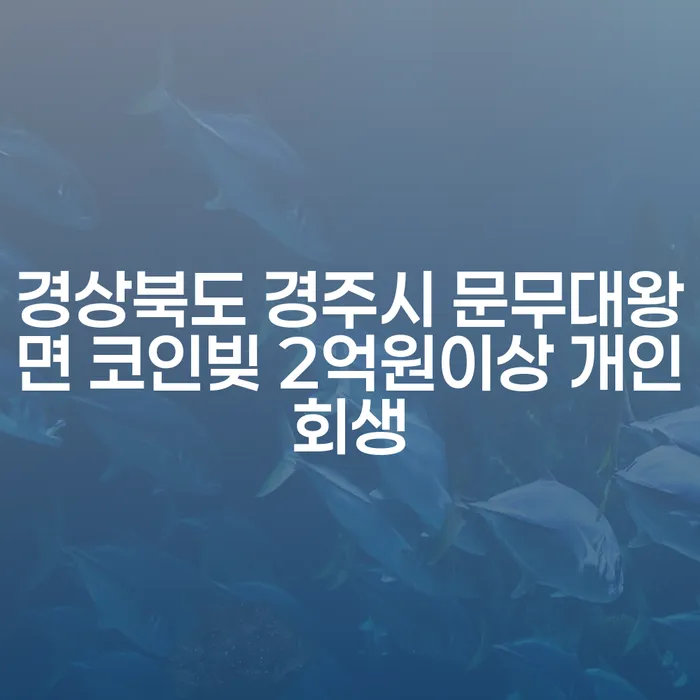 경상북도 경주시 문무대왕면에서 코인빚 2억원 이상이라면, 개인회생이 답일까요?
