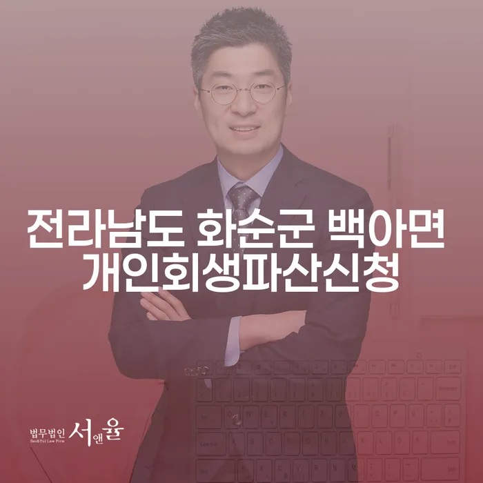 전라남도 화순군 백아면에서 개인회생과 파산 신청, 어떻게 해야 할까요?