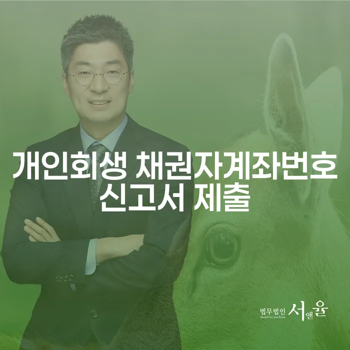 개인회생과 파산: 당신의 재정적 자유를 위한 첫걸음