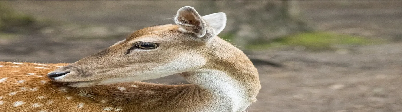 법무법인 서앤율